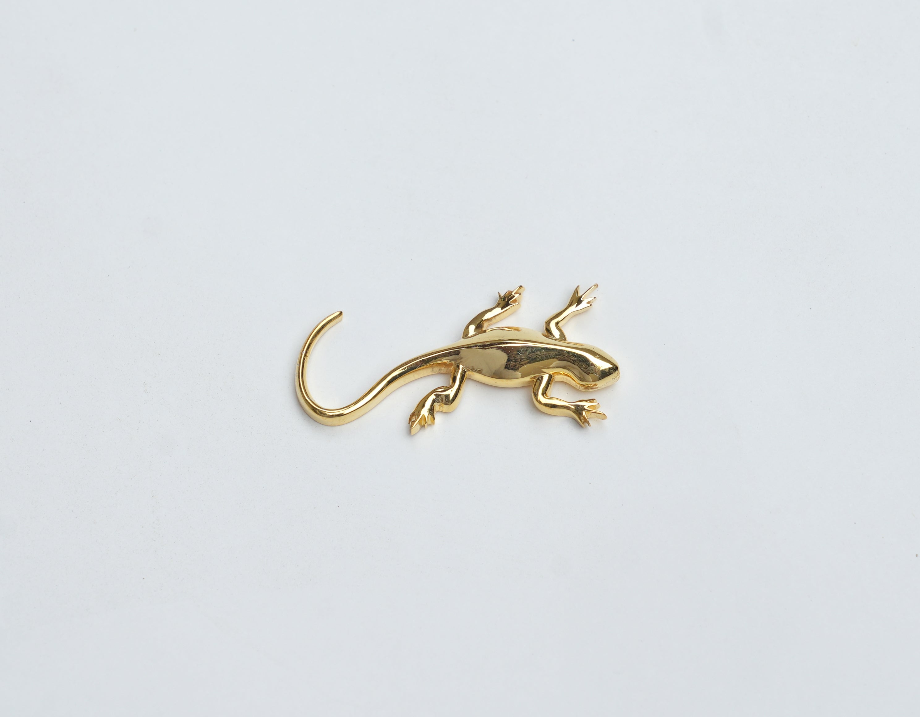 Golden Lizard